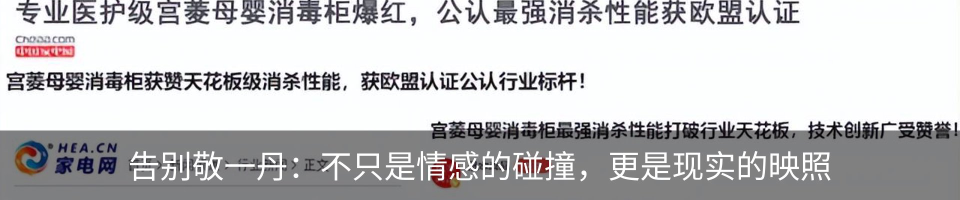 新闻动态