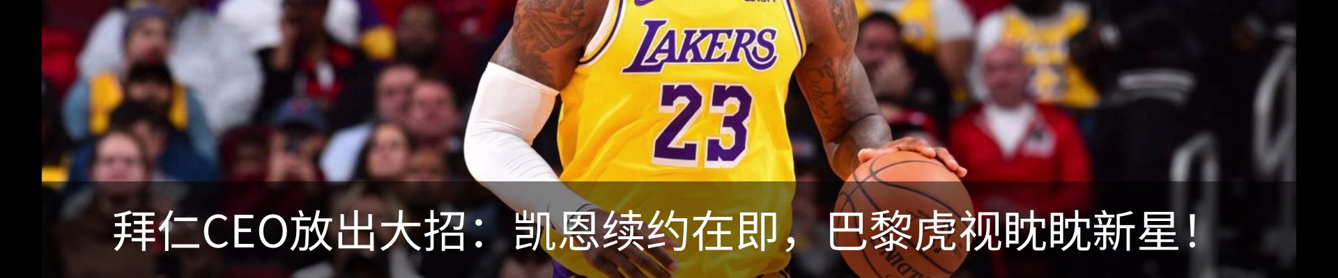 新闻动态