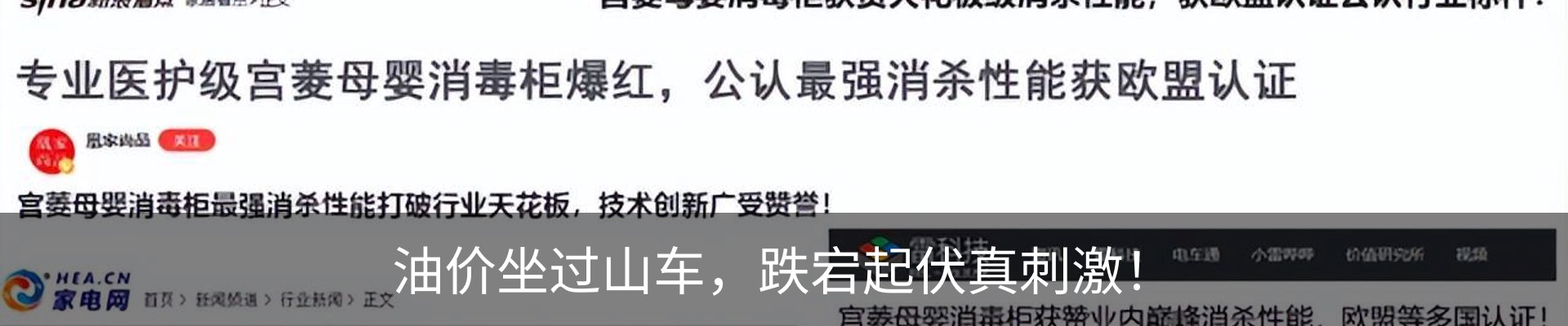 新闻动态