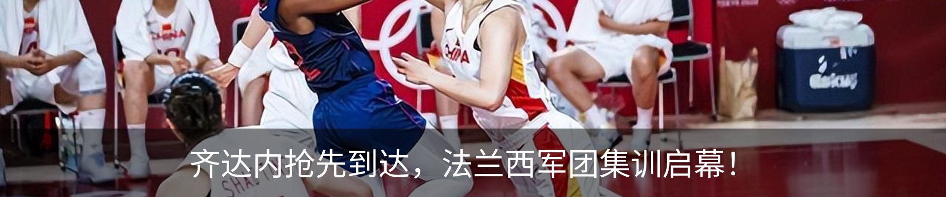 新闻动态